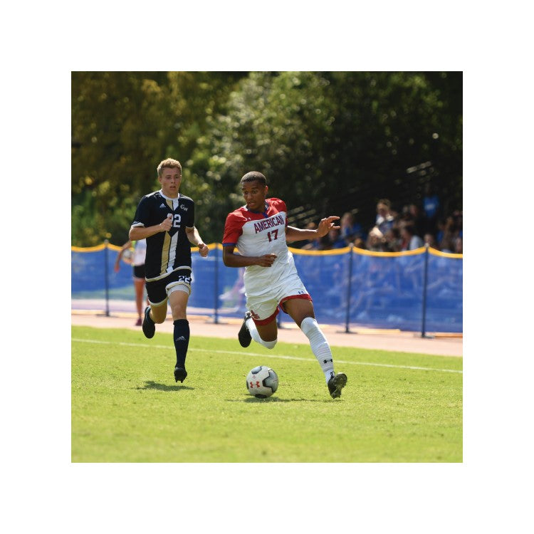 Cover Sports Above-Ground Grand Slam Fencing™